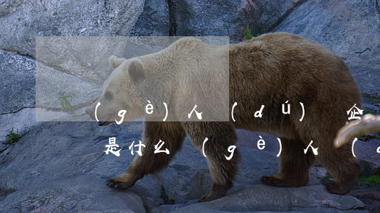 個(gè)人獨(dú)資企業(yè)定義是什么（個(gè)人獨(dú)資企業(yè)的特點(diǎn)有哪些）