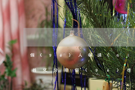 個(gè)人申請(qǐng)個(gè)性化分期(個(gè)性化分期申請(qǐng)書(shū)怎么寫(xiě)范本)