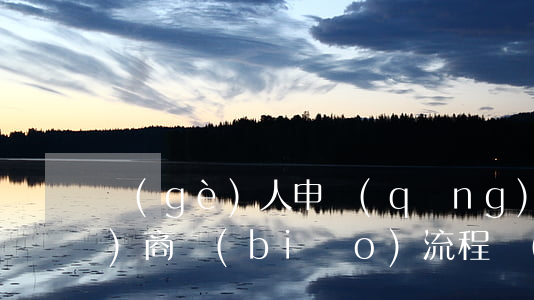 個(gè)人申請(qǐng)注冊(cè)商標(biāo)流程（個(gè)人申請(qǐng)注冊(cè)商標(biāo)需要什么條件）