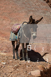 個(gè)人申請發(fā)明專利費(fèi)用