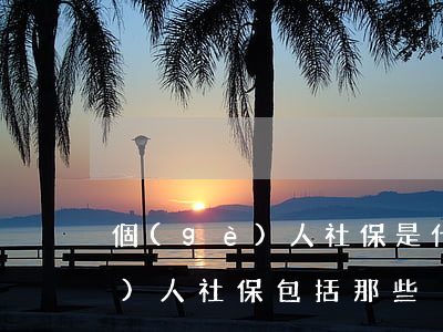個(gè)人社保是什么包括哪些（個(gè)人社保包括那些）