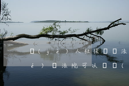 個(gè)人社保賬戶法院可以凍結(jié)嗎(法院可以凍結(jié)社保賬戶的資金嗎?)
