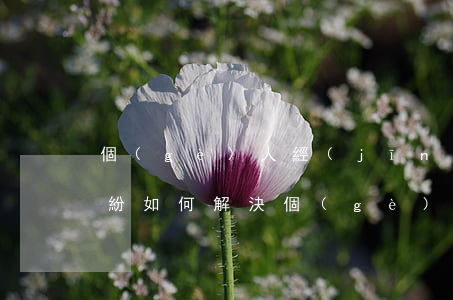 個(gè)人經(jīng)濟(jì)糾紛如何解決(個(gè)人經(jīng)濟(jì)糾紛怎么處理)