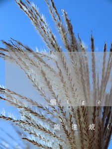 個(gè)人網(wǎng)貸逾期名單查詢(違規(guī)網(wǎng)貸名單)