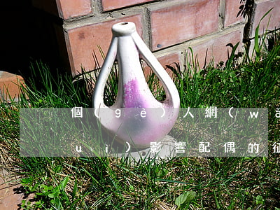 個(gè)人網(wǎng)貸逾期會(huì)影響配偶的征信嗎-個(gè)人網(wǎng)貸逾期會(huì)影響配偶的征信嗎怎么辦