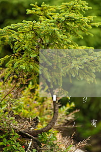 個(gè)人行用卡逾期和家人有沒(méi)有關(guān)系-個(gè)人行用卡逾期和家人有沒(méi)有關(guān)系呢