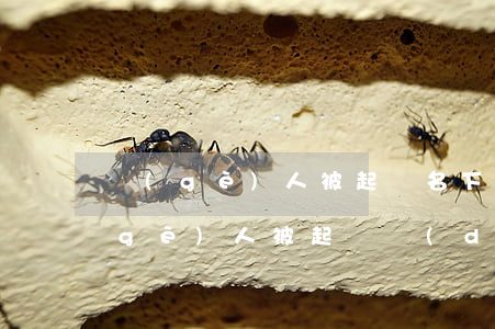 個(gè)人被起訴名下公司受影響嗎(個(gè)人被起訴對(duì)公司有影響嗎)