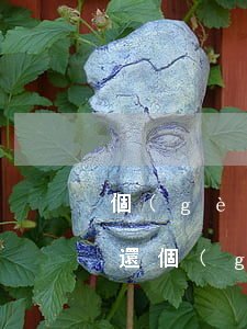個(gè)人負(fù)債無(wú)法償還（個(gè)人負(fù)債無(wú)力償還了）