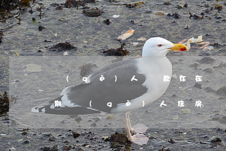 個(gè)人貸款存在當(dāng)前逾期(個(gè)人住房貸款逾期一天)