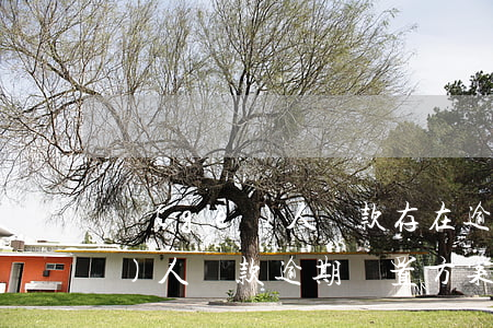 個(gè)人貸款存在逾期怎么辦(個(gè)人貸款逾期處置方案)