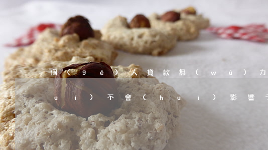 個(gè)人貸款無(wú)力償還會(huì)不會(huì)影響子女-個(gè)人貸款無(wú)力償還會(huì)不會(huì)影響子女政審