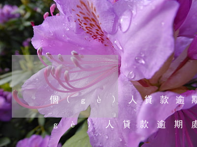 個(gè)人貸款逾期7賬戶(hù)(個(gè)人貸款逾期處置方案)