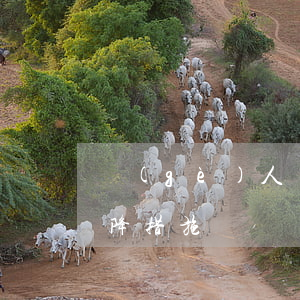 個(gè)人貸款逾期壓降措施(不良貸款壓降措施)