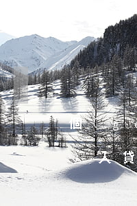 個(gè)人貸款逾期影響信用嗎(個(gè)人貸款逾期影響信用嗎)