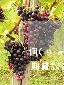 個(gè)人貸款逾期服務(wù)方案(逾期貸款管理措施)