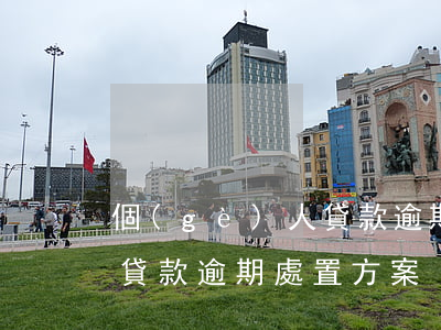 個(gè)人貸款逾期檢查表(個(gè)人貸款逾期處置方案)
