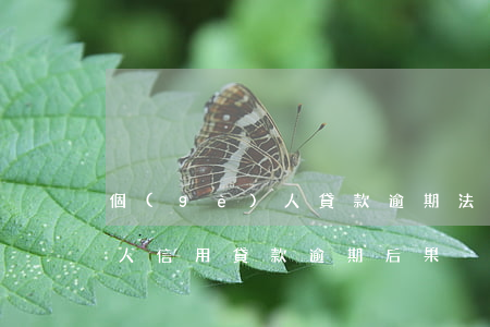 個(gè)人貸款逾期法律分析(個(gè)人信用貸款逾期后果)