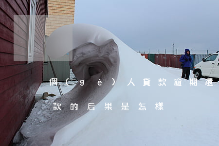 個(gè)人貸款逾期還貸的后果(逾期還貸款的后果是怎樣)