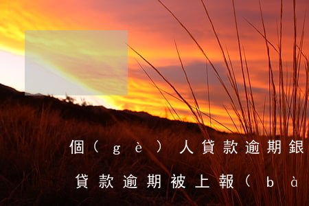 個(gè)人貸款逾期銀行上報(bào) 貸款逾期被上報(bào)了怎么辦