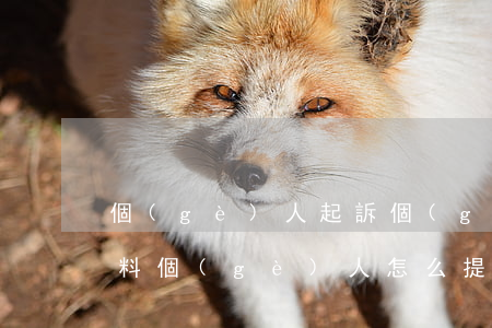 個(gè)人起訴個(gè)人需要什么材料(個(gè)人怎么提交起訴書(shū))
