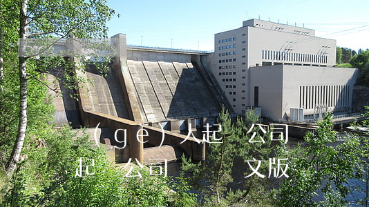 個(gè)人起訴公司訴訟狀(個(gè)人起訴公司訴訟狀文版)
