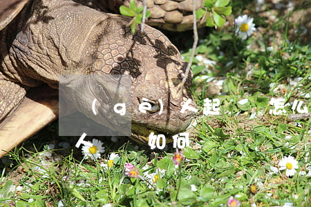 個(gè)人起訴狀怎么寫格式(個(gè)人訴狀如何寫)