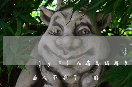 個(gè)人透支信用卡不還款(信用卡透支后人不在了還用償還嗎)