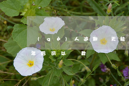 個(gè)人逾期兩天能貸款嗎(逾期記錄2年后可以貸款嗎)