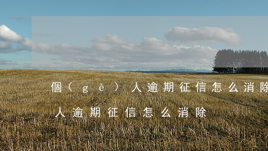 個(gè)人逾期征信怎么消除 個(gè)人逾期征信怎么消除