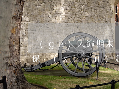 個(gè)人逾期未繳納養(yǎng)老保險(xiǎn)怎么辦-