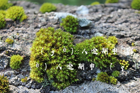 個(gè)人逾期申請(qǐng)(個(gè)人逾期申請(qǐng)減免利息的申請(qǐng)書)