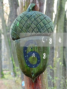 個(gè)人違法建筑逾期拆除申請(qǐng)(個(gè)人違法建筑逾期拆除申請(qǐng))