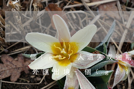 個(gè)人遺失或逾期補(bǔ)辦攜帶外匯出境-個(gè)人遺失或逾期補(bǔ)辦攜帶外匯出境許可證的