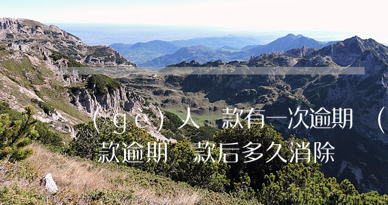 個(gè)人還款有一次逾期(個(gè)人貸款逾期還款后多久消除)