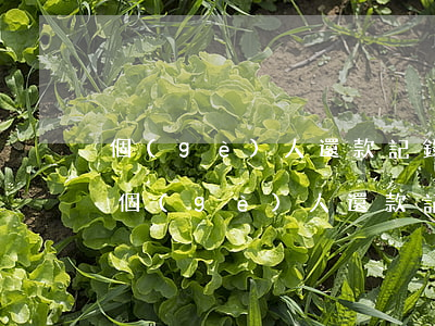 個(gè)人還款記錄逾期還能再貸款嗎-個(gè)人還款記錄逾期還能再貸款嗎知乎