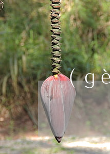 個(gè)人還款逾期半個(gè)月