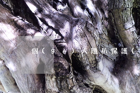個(gè)人隱私保護(hù)