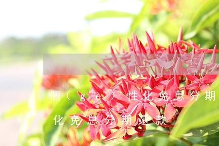 個(gè)性化免息分期還款 個(gè)性化免息分期還款