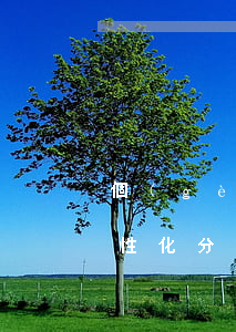 個(gè)性化分期不減免利息 個(gè)性化分期不減免利息怎么辦