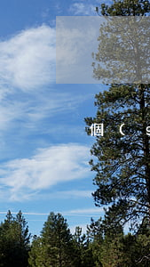 個(gè)性化分期之后逾期
