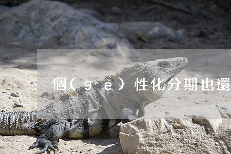 個(gè)性化分期也還不起