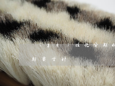 個(gè)性化分期付款(個(gè)性化分期要首付嗎)