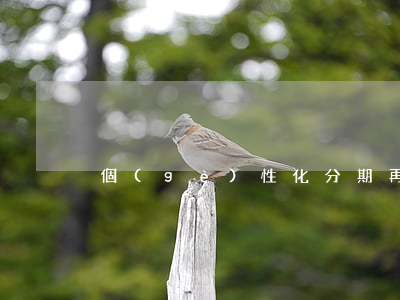 個(gè)性化分期再次逾期一天