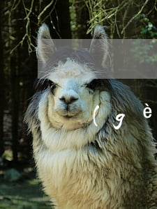 個(gè)性化分期協(xié)議在哪簽