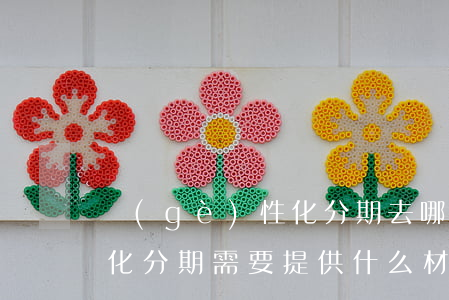 個(gè)性化分期去哪里辦(個(gè)性化分期需要提供什么材料)