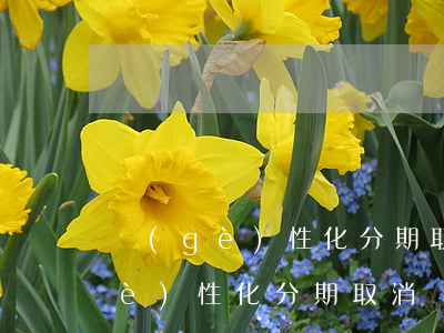 個(gè)性化分期取消了會怎么樣（個(gè)性化分期取消）