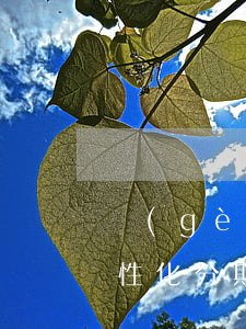 個(gè)性化分期后還有利息(個(gè)性化分期還要收利息)