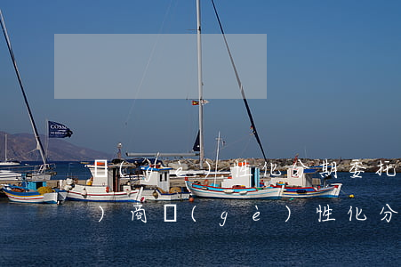 個(gè)性化分期委托代理(代協(xié)商個(gè)性化分期的看法)
