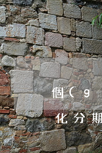 個(gè)性化分期影響大嗎(個(gè)性化分期壞處)