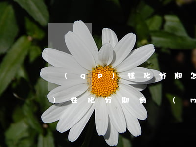 個(gè)性化分期怎么查本金-個(gè)性化分期有沒(méi)有利息